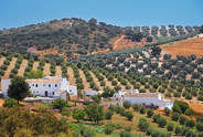 Spanien Ferienhäuser - Ferienhaus Ferienwohnung Villa Pool